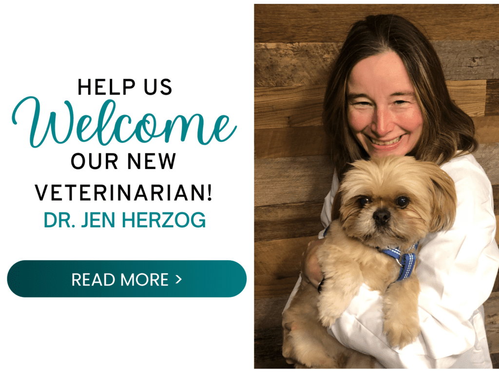 Help us welcome our new veterinarian! Dr. Jen Herzog